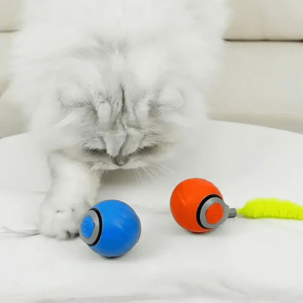 ð¥Interactive Electric Rolling Ball with Teasing Tail