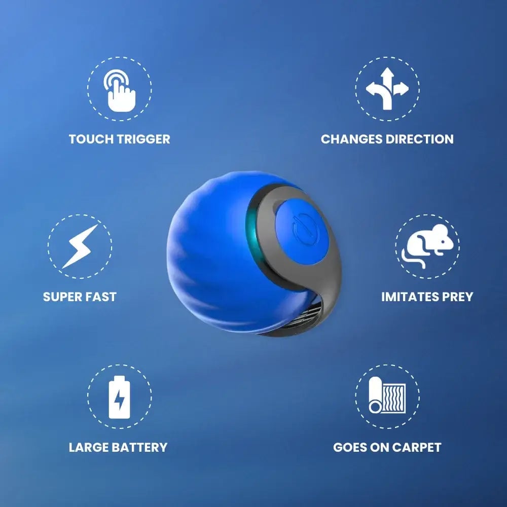ð¥Interactive Electric Rolling Ball with Teasing Tail