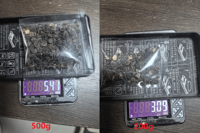 🏆 50K+ SOLD!🌺Double Hollyhock Seeds – Fall & Winter Planting, Perennial Blooms & Stunning Garden Elegance 🍂